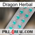 Dragon Herbal 28